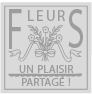 Aper�u inexistant